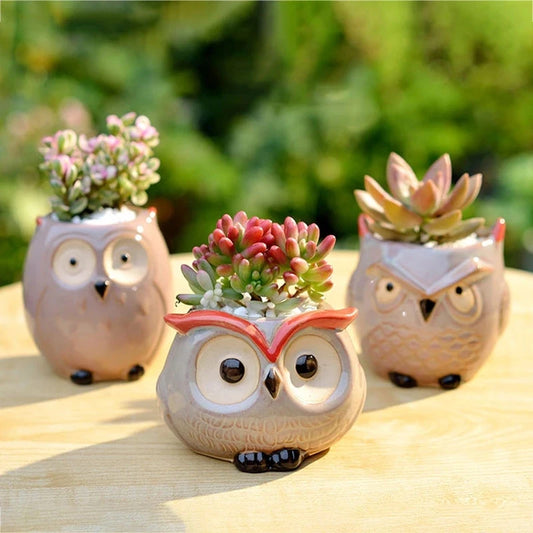 Ceramic Owl-Shaped Planters