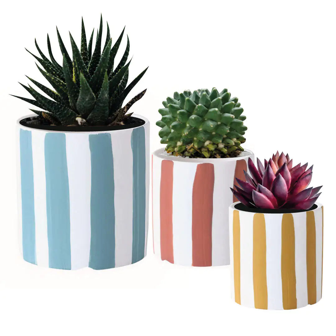 Playful Planters Set of